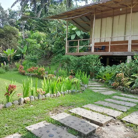 Bua Guesthouse Tangkahan-3