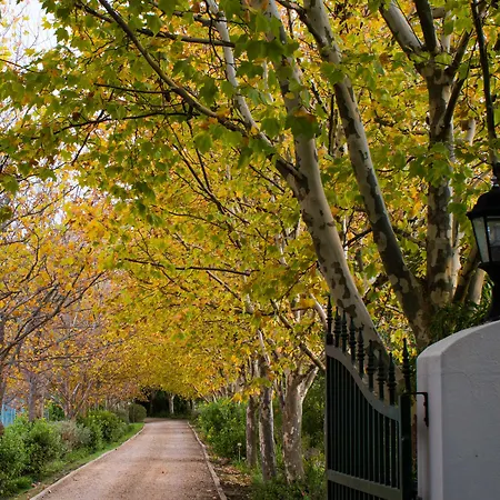 Sanddrif Stellenbosch Guest Farm-2