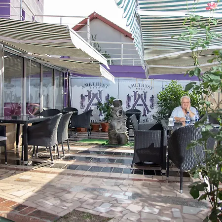 Amethyst House Therme & Bucharest Otopeni Airport-3