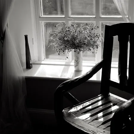 The Haven-3