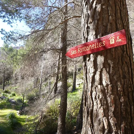 Finca Ses Fontanelles-2