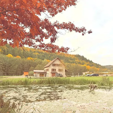 Maison d'hôtes en pleine nature avec chevaux-3