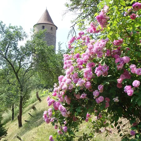 Weingut Gästehaus Weigand-2