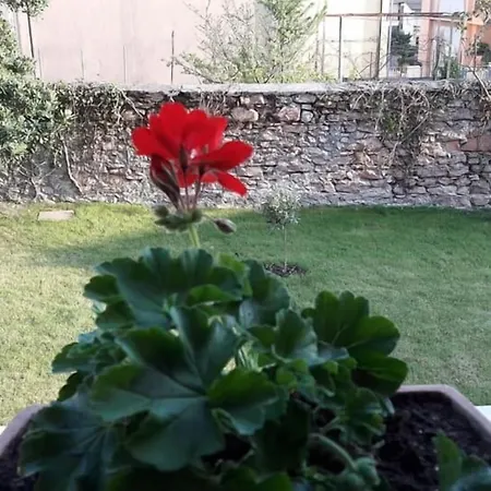 Casa Oliva Quero-3