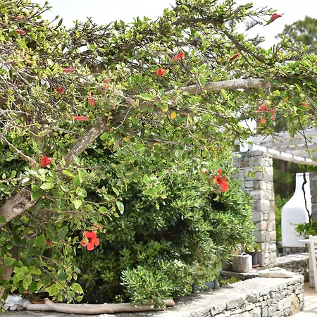Andriani'S Guest House-3