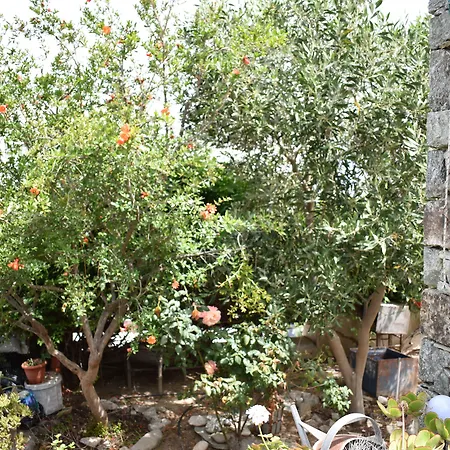 Andriani'S Guest House-2