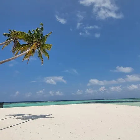 Sunset Beach View-2