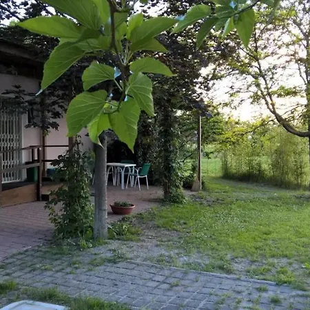 Rose Canine B&B-3
