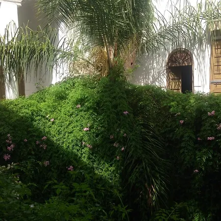 Riad Al Assala-3