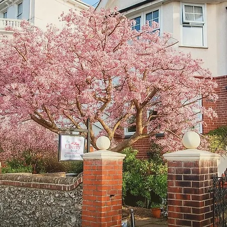 The Cherry Tree B&B-2