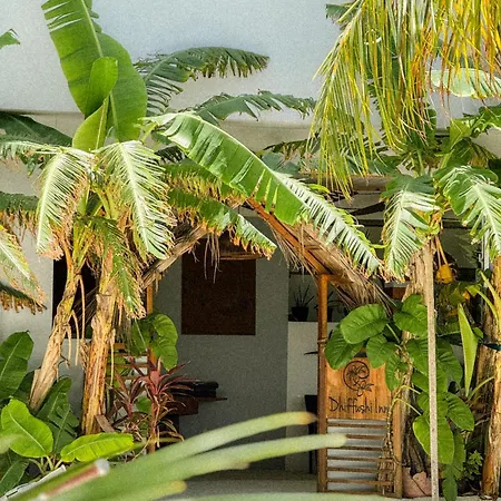 Dhiffushi Inn-3