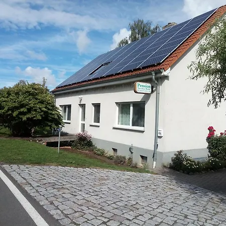 Ferienzimmer in Pension zur alten Weide im Oderbruch-3