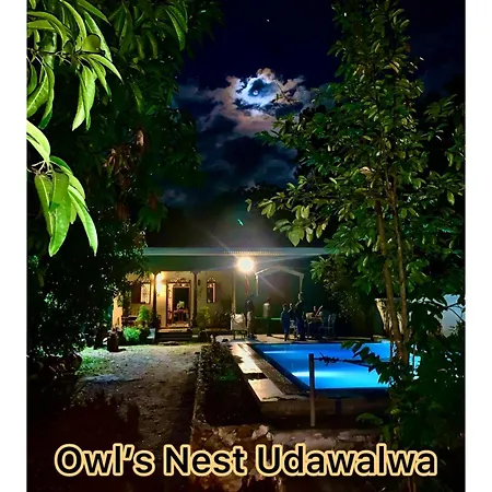 Owl'S Nest-2
