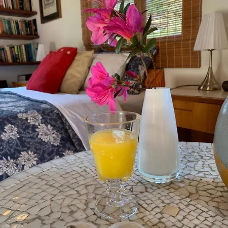 Villa Violeta-3