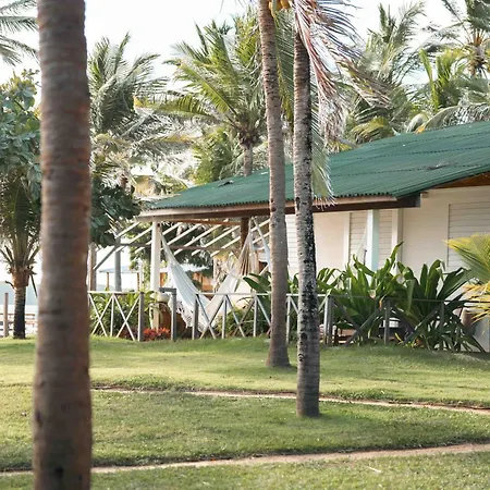 Muita Paz-3