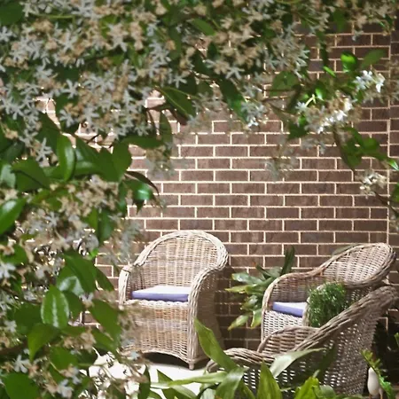 Kennedy House Euroa Perfect For Short Term Stays-3