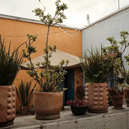 Casa Arrayan-2