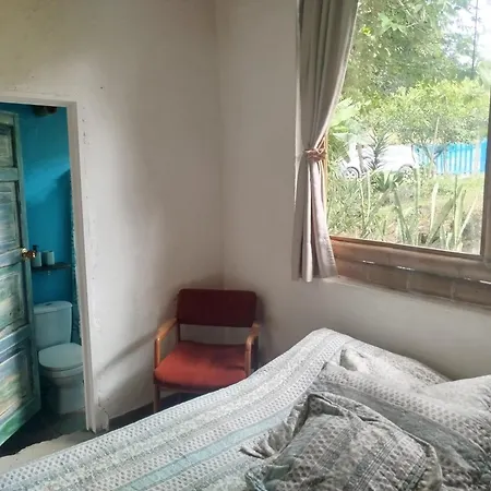 Hostal Casa De Guadua/ The Bamboo House-2