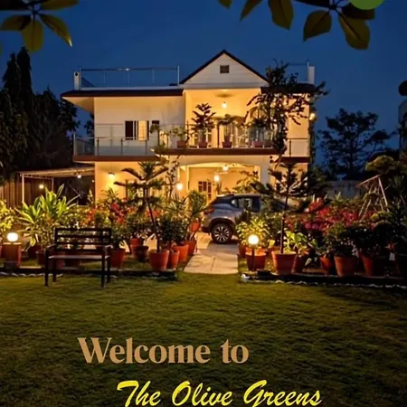 The Olive Greens-3