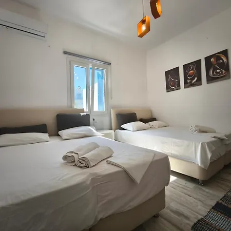 Villa Vasilis Ornos-3