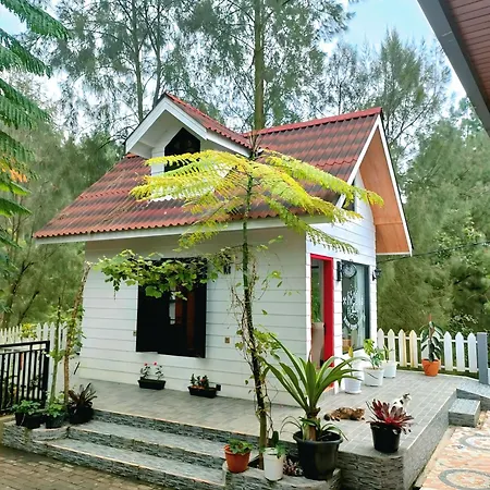 Arum Bromo Villas-3