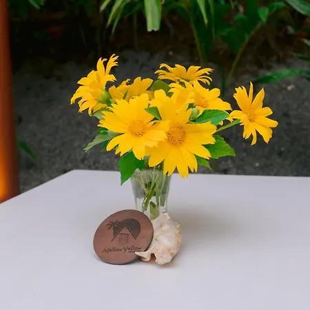 Mellow Yellow Ahangama-3