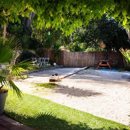 Villa Holistika : Bed And Breakfast / Pool / Air Conditioning/ Mont Faron Toulon-2