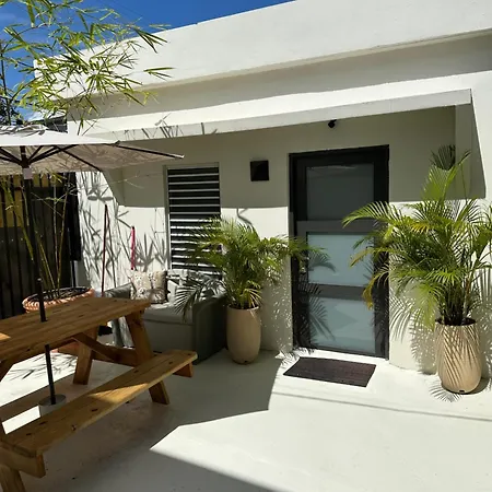 Tropical Studio-2