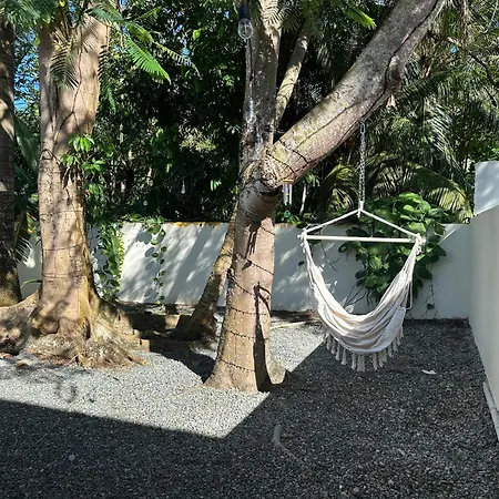 Tropical Studio-2
