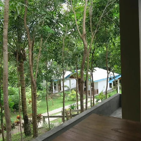 Tangkoko Macaca-2
