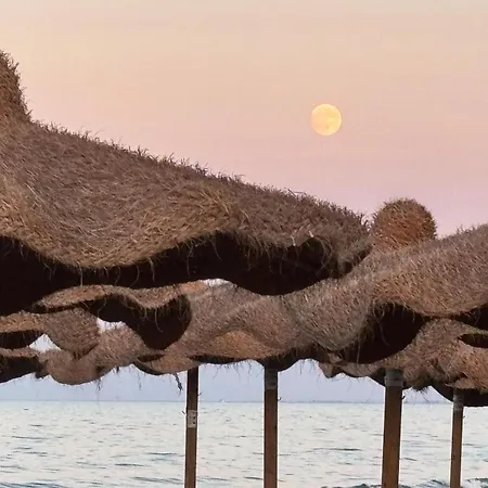 Beach Club Ippocampo-3