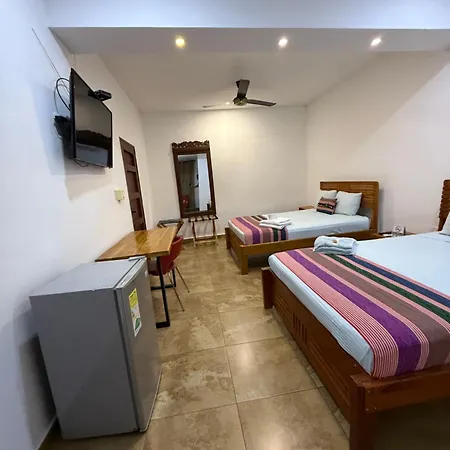 Casa Palomino Hostal-3