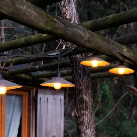 Orion Treehouses-2