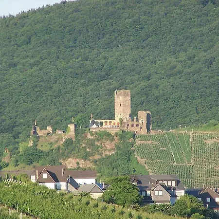 Pension Mosellablick-2