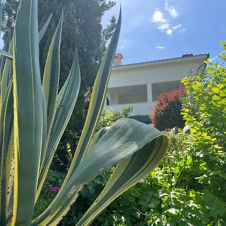 Casa Gaia-3