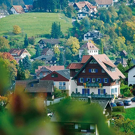 Wein- und Klimahotel Bergfriedel-2