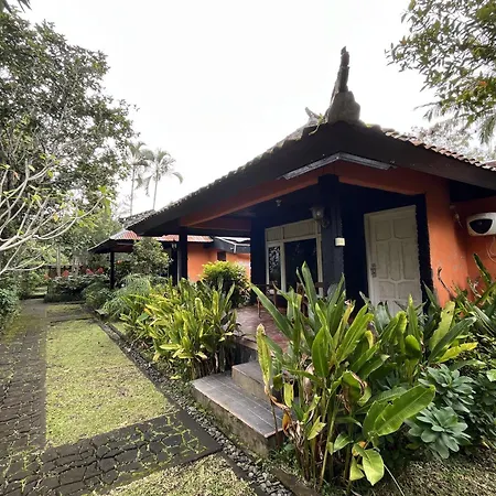 Batur Sunrise Guesthouse-3