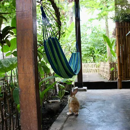 Follow The Rabbit Bungalow-2