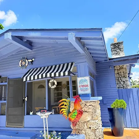 Blue Little Havana-3