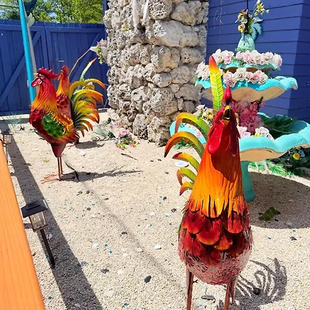 Blue Little Havana-2