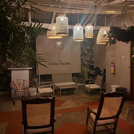 Hostal Casa Palma-3