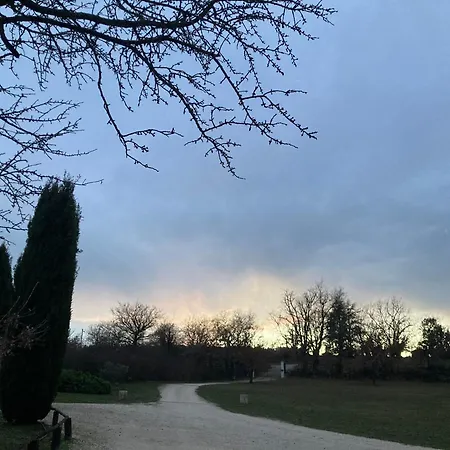 Cante Grillet - 295 Chemin Des Contards - 84480 Lacoste-2