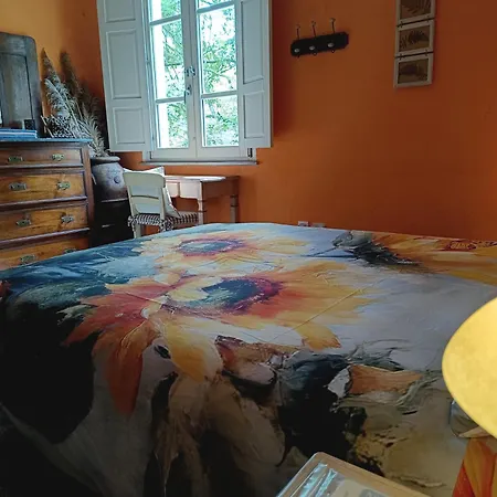 B&B Candalla-3