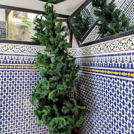 Riad Green House-3