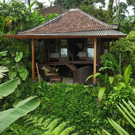 Sarinbuana Eco Lodge-2
