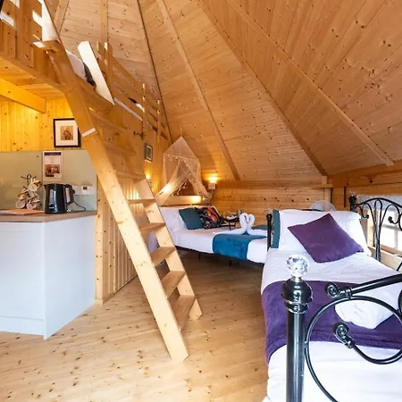 Woods Meadow Glamping-3