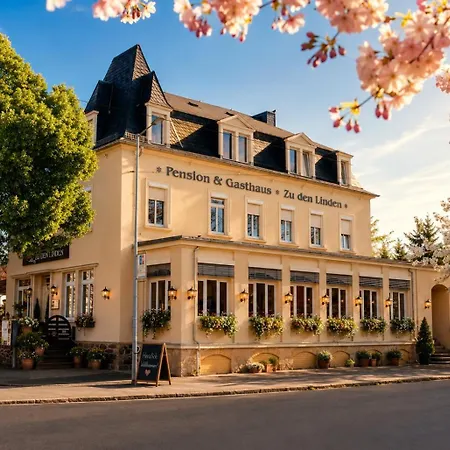 Pension&Restaurant Zu den Linden Radebeul-2