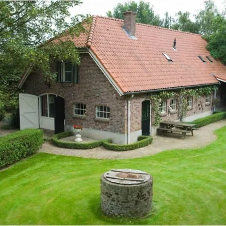 de Zeilende kraay-3