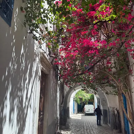 Dar Kenza Tunis-3