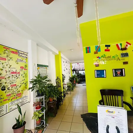 Hostal Casa Huasteca-2